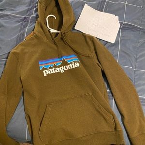 Mens Army Brown Patagonia Hoodie